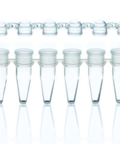 Strips 8 PCR tubes, PP, clear with cap strips, domed, pack of 250