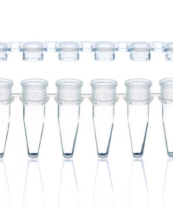 Strips 8 PCR tubes, PP, clear with cap strips, flat, pack of 250