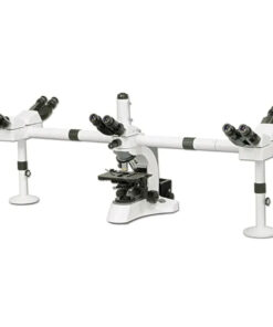 Microscope Multi-Head  BS-2080MH10