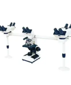 Biological Microscope Multi-Viewing