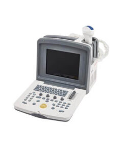 Ultrasound 9618 Veterinary Model